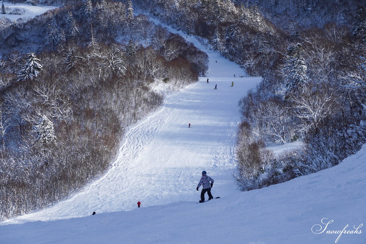 札幌国際スキー場 これぞ北海道。粉雪が降り積もったゲレンデはコンディション良好！そして、早くも全コース滑走可能です(*^^)v